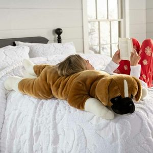 Plow and Hearth Boxer